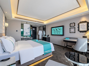 希岸酒店(银川河东国际机场店)希岸大床房