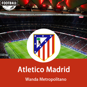 马德里竞技欧冠