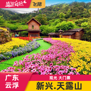 [天露山旅游度假区-大门票]云浮新兴天露山梅溪小镇栈道探险