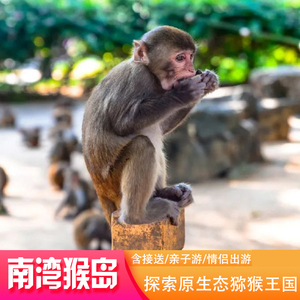 三亚陵水南湾猴岛一日游跟团游接送索道可加槟榔谷呆呆岛一日游