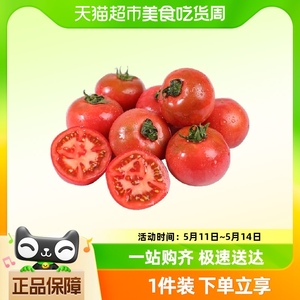 山东草莓西红柿皮薄多汁可生吃番茄3斤/4.5斤装快递到家整箱包邮