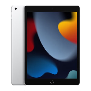 Apple/苹果 iPad(第 9 代)10.2英寸平板电脑 256GB WLAN版