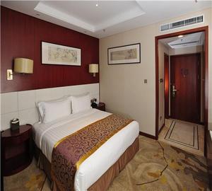 机场宾馆(南京夫子庙店)商务单人间