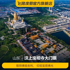 [汶上宝相寺-大门票]汶上宝相寺 大门票