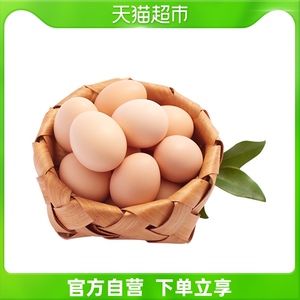 寻鲜鸟正宗土鸡蛋谷物安全45g*20个鲜鸡蛋营养农家散养无激素色素