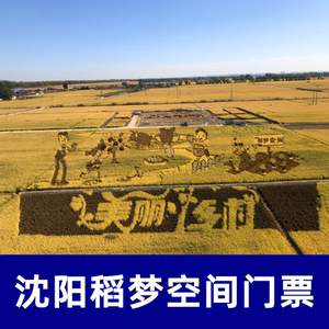 [稻梦空间-大门票]沈阳稻梦空间风景区门票