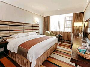 梓潼聚源大酒店典雅豪华大床房