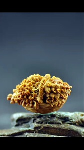 【秋人核雕】秋人核雕品牌,价格 - 阿里巴巴