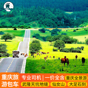 重庆旅游包车到武隆仙女山天坑地缝奥陶纪大足石刻市区一日游纯玩