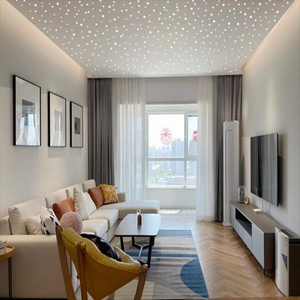 华美星空顶天花板客厅卧室影音室星空顶网红光纤满天星吊顶led灯