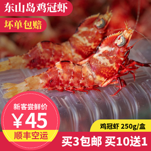 鸡冠虾 250g 约18只 东山岛海鲜 大头虾 刺身海虾 黑节虾 斑节虾
