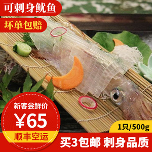 刺身鱿鱼 500g 东山岛海鲜 可刺身大管 活冻手钓枪鱿鱼 火箭鱿鱼