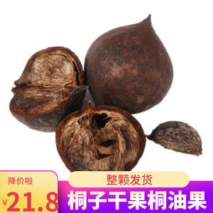 桐子干果非食用农产品大山自然生长油桐果桐树果子桐壳1斤包邮