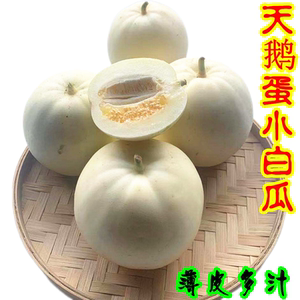 河南天鹅蛋甜瓜5斤新鲜香瓜白甜瓜薄皮甜瓜带皮吃白皮脆甜瓜包邮