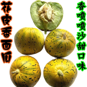 花皮香面瓜新鲜甜瓜5斤怀旧香瓜花蕾香瓜八里香冰糖子落花甜包邮