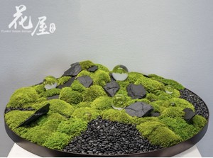 新中式圆桌餐桌永生苔藓青苔绿植摆件酒店包房样板间微景观枯山石