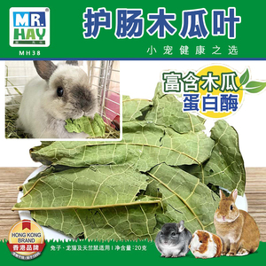 草先生 护肠木瓜叶 兔子龙猫天竺鼠消化零食木瓜叶调节肠道mh38