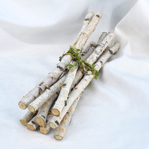 手工材料天然干树枝桦木棍装饰 细树枝diy插花树棍白桦木棍细树枝