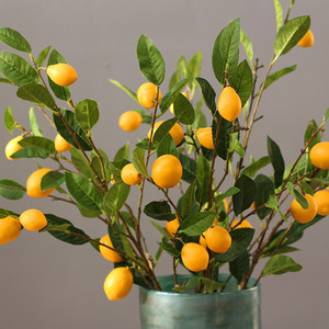 美式乡村仿真植物 柠檬树枝 树叶单支长装饰花植物花瓶样板间搭配