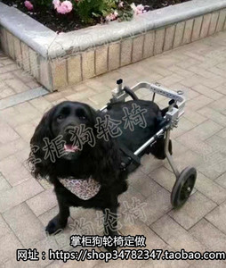 宠物轮椅/残疾狗轮椅/犬用代步车/宠物后肢训练车/瘫痪宠物代步车