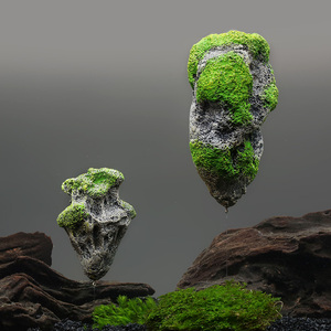 浮石造景