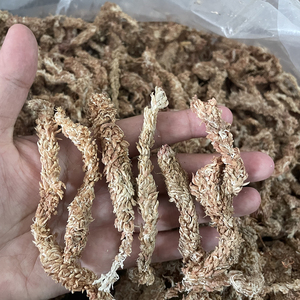 智利进口水苔天然干苔藓水苔青苔蝴蝶兰专用植料营养土爬宠垫材