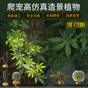 HAGEN希瑾爬虫饲养箱缸造景爬宠仿真植物蜥蜴龟蛇装饰藤蔓挂绿植