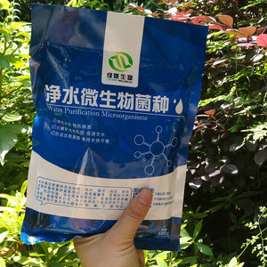 绿陇生物 净水微生物菌种菌剂 水产养殖专用 净水活水丰富水草