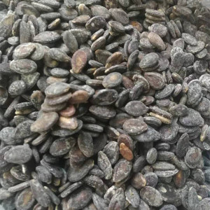 湖北广水大悟特产熟打瓜子小铁瓜子吊瓜子椒盐口味打瓜子3斤包邮