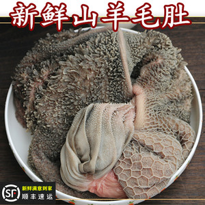 新鲜生羊肚2-3斤 整个山羊 毛肚 按个销售  现杀新鲜山羊羊肚