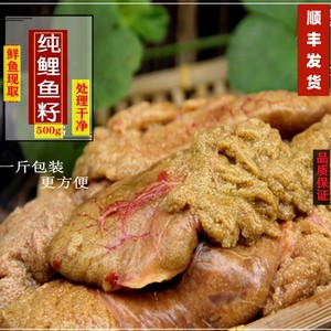 新鲜鱼籽 鲤鱼籽 鲜鱼籽 现杀鲜活淡水鱼子 纯鱼蛋新鲜  鱼卵鱼