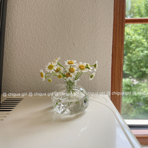 创意简约小石榴玻璃花瓶ins桌面水培可爱透明花器摆件样板房装饰