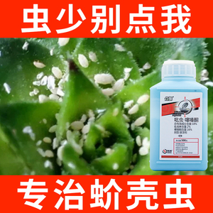 蚧壳虫药介专用吡蚜虫噻嗪酮柑橘果树农药杀除虫剂多肉花卉蚧必治