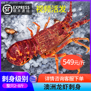 鲜活大龙虾刺身