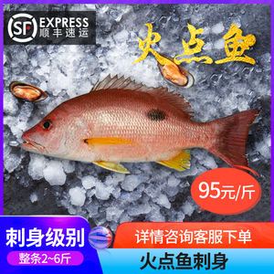 火点鱼刺身金焰笛鲷真鲷鱼日料寿司刺身鱼片鲜活海产深钓海鱼水产