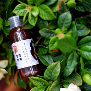 俐子姐姐 茶麸洗发水 防脱生发 便携旅行装60g装  两瓶可包邮