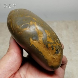广西右江硅玉石  天然原石 GD831（不议价）