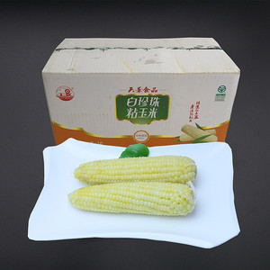 天景白珍珠粘玉米
