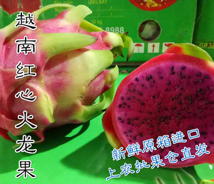 越南红心火龙果原箱15斤以上9-12只原箱新鲜包邮进口水果非台湾