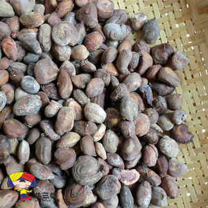 水槟榔马槟榔山槟榔太极子屈头鸡500g