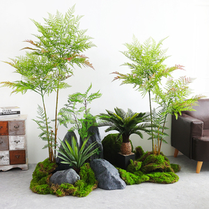 ins风仿真观音蕨植物盆栽套装装饰侘寂风大型室内绿植橱窗造布景