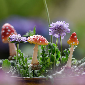 可爱蘑菇小花插多肉花盆花卉盆装饰户外花园庭院阳台布置造景盆插
