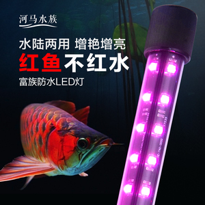 T8鱼缸灯增艳LED灯照明潜水防水红龙发色超亮鹦鹉罗汉鱼专用灯管