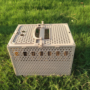 赛鸽训放笼手提塑料信鸽笼子鸽子用品用具鹌鹑放飞迷你报道笼鸽具