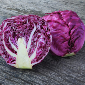 紫甘蓝种子苗蔬菜苗种子阳台四季播蔬菜种子紫白菜青菜种子籽种孑