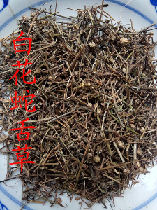 801人付款天猫天然野生白花蛇舌草百花蛇舌草白花舌蛇草当季药材500g