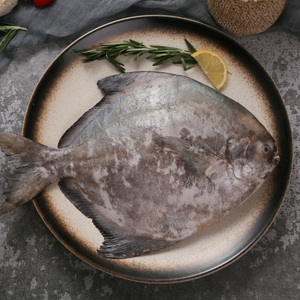 本港海捕斗鲳新鲜冷冻特大海鲜水产中国鲳大白鲳平鲳3斤顺丰包邮