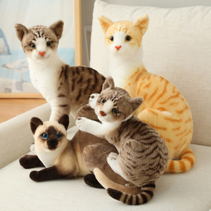 仿真暹罗猫橘猫咪玩偶布娃娃可爱喵星人公仔毛绒玩具儿童创意礼物