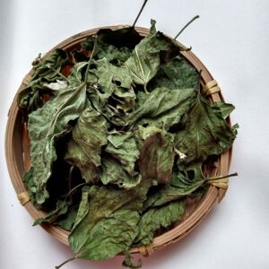 正品中药材木槿叶木锦叶子 木槿叶洗头500克包邮 木槿叶洗头包