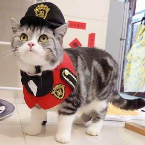 可爱宠物猫咪机长制服英短美短猫变身装领结围脖帽子套装生日拍照